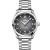 Aqua Terra Railmaster Gray Ombre Dial 38mm VSF 1:1 Last Batch
