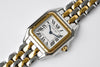 Cartier – Panthère