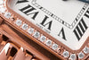 Cartier – Panthère