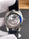 VSF Omega Seamaster Planet Ocean Worldtimer