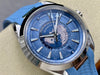 VSF Omega Seamaster Planet Ocean Worldtimer