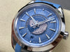 VSF Omega Seamaster Planet Ocean Worldtimer